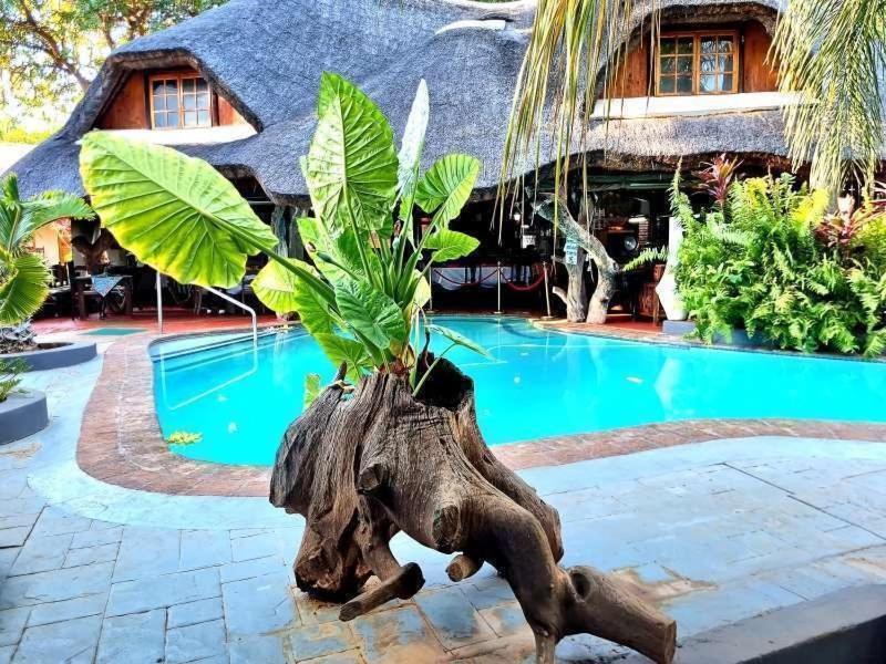 Dei Gratia Guest House Мусина Екстериор снимка